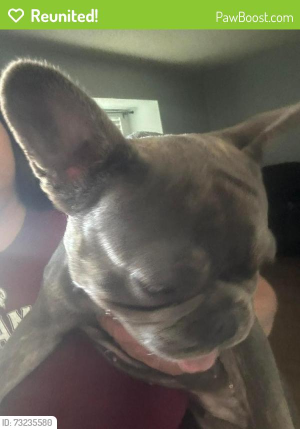 Reunited Female Dog last seen Merkens dr, San Antonio, TX 78229