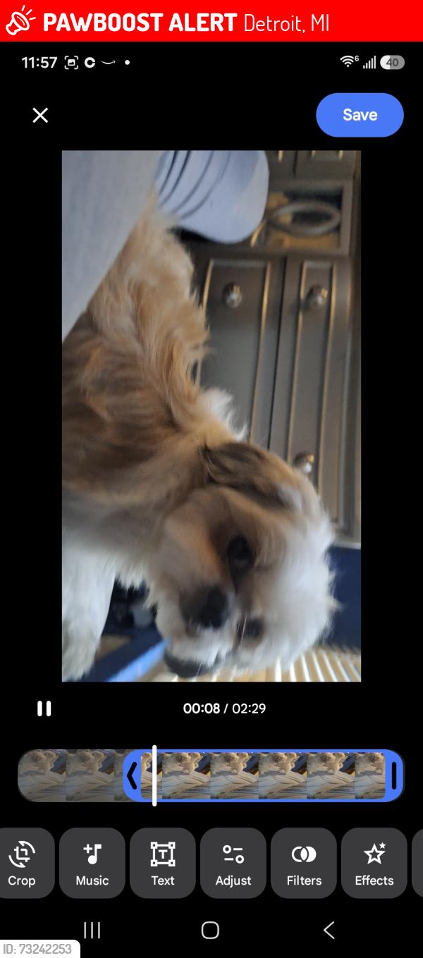 Lost Male Dog last seen Hubble and Purtian, Detroit, MI 48235