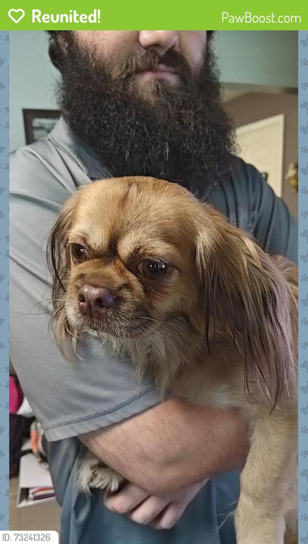 Reunited Female Dog last seen Dollar General and Joe's place, Cynthiana, KY 41031