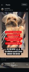 Lost Male Dog last seen Whittier st, Whittier, CA 90602