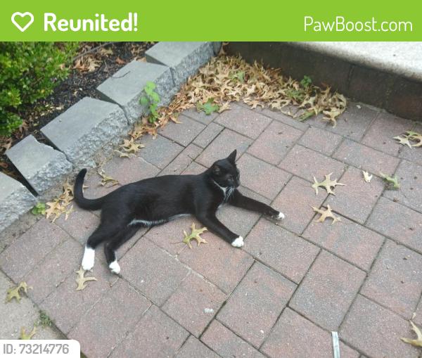 Reunited Unknown Cat last seen On Seaview avenue in a driveway between Hylan Blvd and Magnolia ave, Staten Island, NY 10305