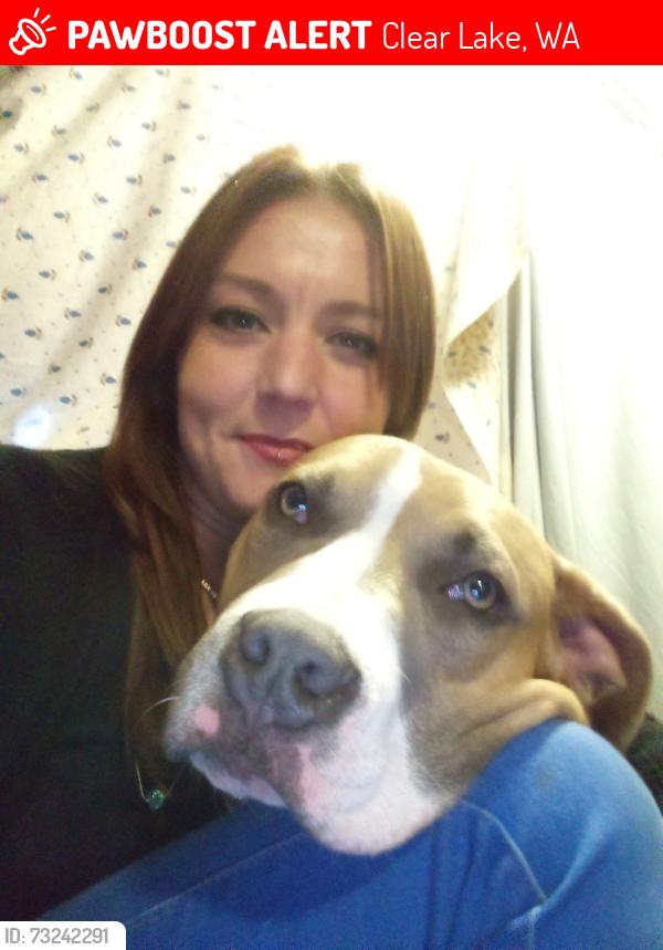 Lost Male Dog last seen By boat launch, Clear Lake, WA 98235
