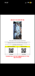 Lost Male Cat last seen East Cotati near M section, Cotati, CA 94931