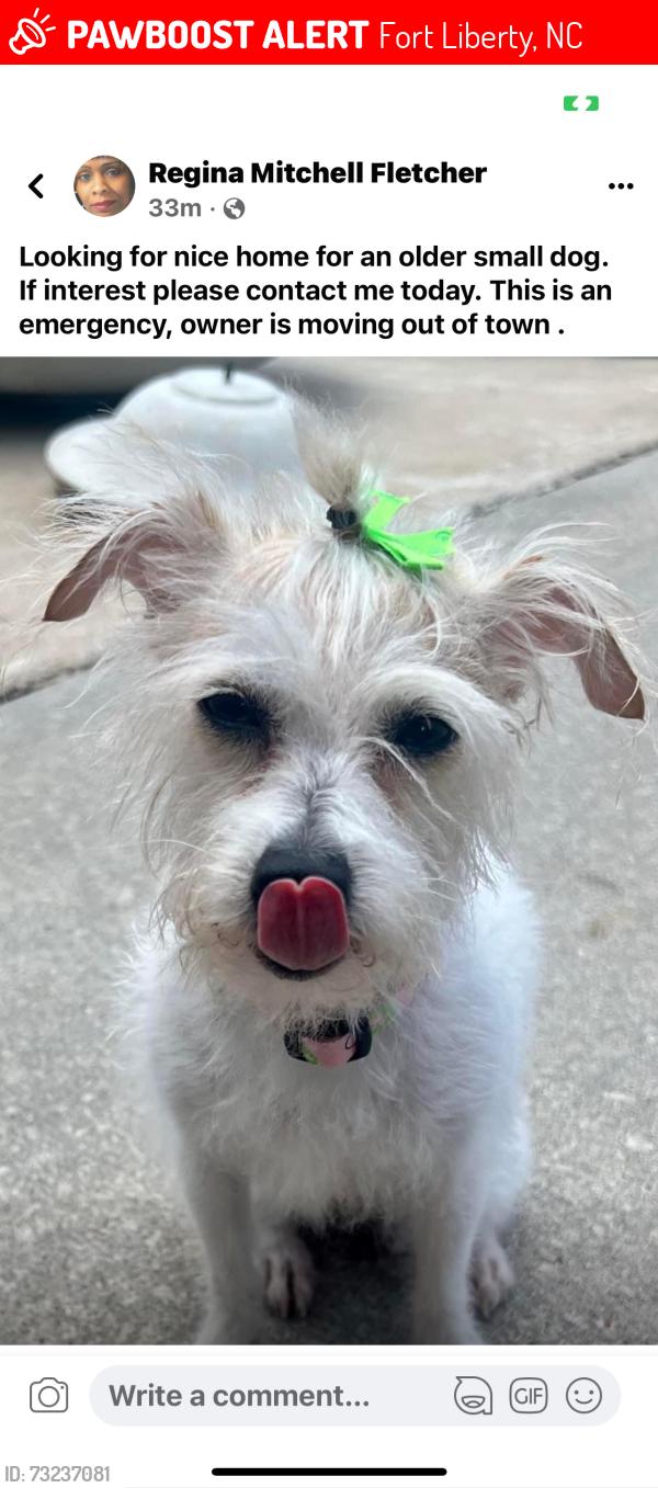 Lost Female Dog last seen Liberator St, Fort Liberty, NC 28307