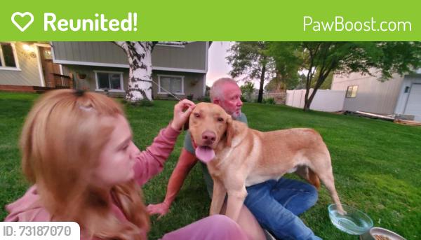 Reunited Male Dog last seen W 15th Ave. And S Van Buren place, Kennewick, WA 99338