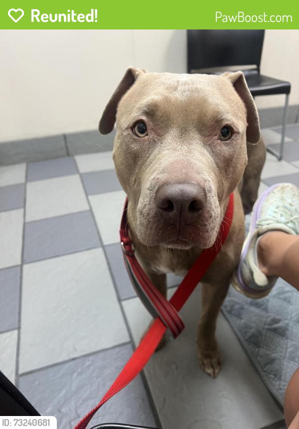 Reunited Male Dog last seen Near Cloverdale Dr, Hixson, TN 37343, USA, Chattanooga, TN 37343