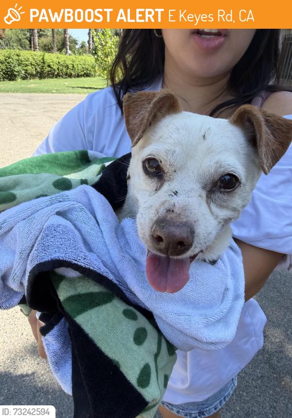 Found/Stray Male Dog last seen North Sperry Road, E Keyes Rd, CA 95316