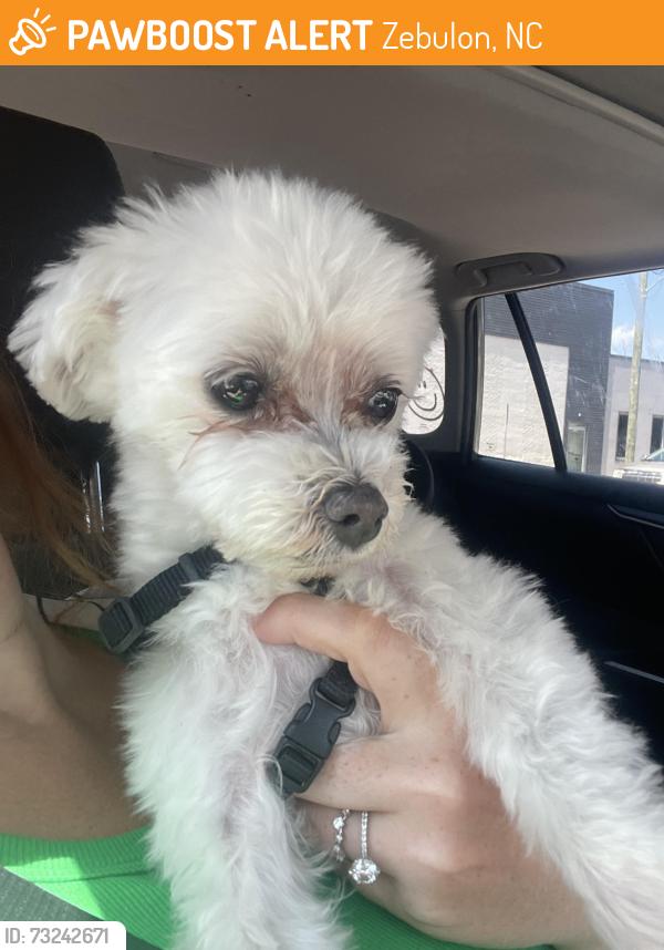 Found/Stray Male Dog last seen Community park, Zebulon, NC 27597