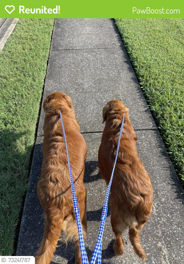 Reunited Unknown Dog last seen Cason LN, Murfreesboro, TN 37128