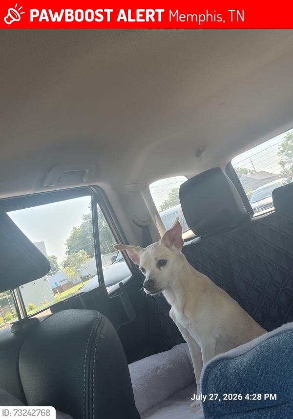 Lost Male Dog last seen Huntington oak drivr, Memphis, TN 38016