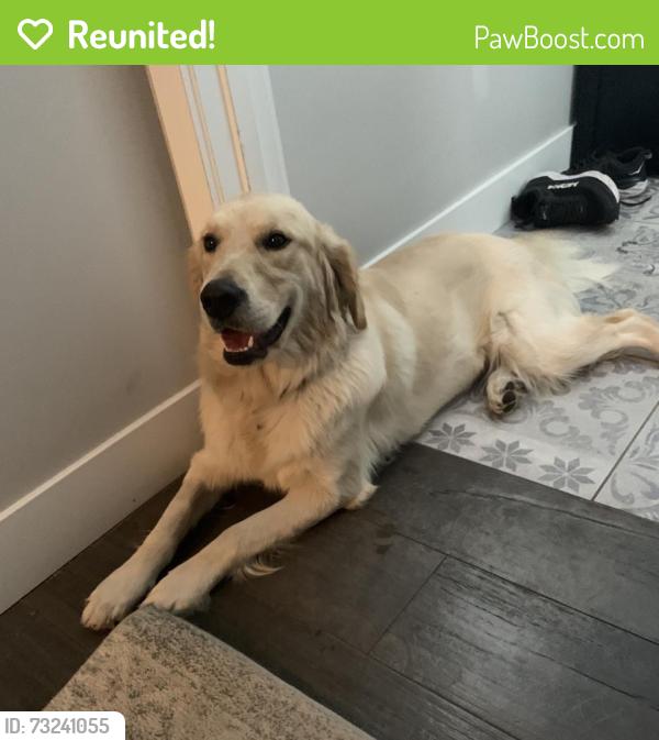 Reunited Female Dog last seen Alameda and Downing, Denver, CO 80209