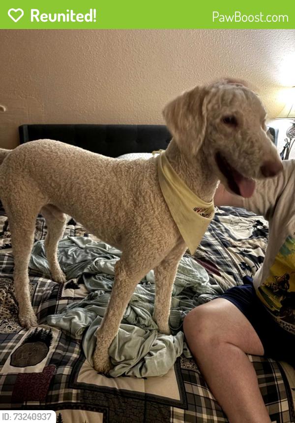 Reunited Male Dog last seen Canyon Creek neighborhood, Conroe, TX 77304