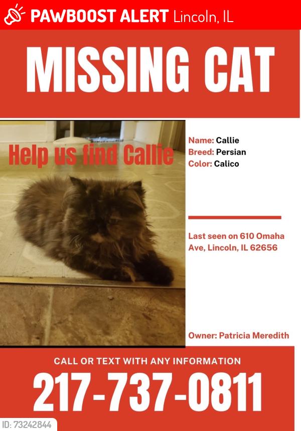 Lost Female Cat last seen Ok tavern, Lincoln, IL 62656