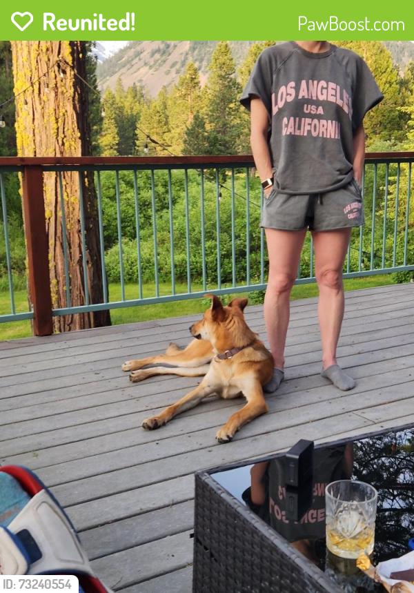 Reunited Female Dog last seen Greenhaven pocket, Sacramento, CA 95831