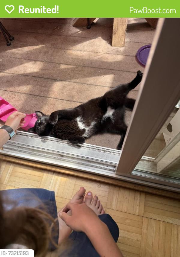 Reunited Male Cat last seen Fairmont Pacifica, Pacifica, CA 94044