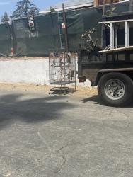 Found/Stray Unknown Bird last seen Morengo Avenue, Altadena, CA 91001