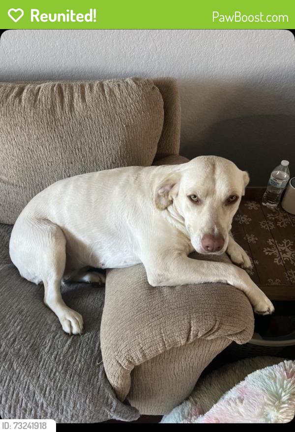 Reunited Female Dog last seen New Braunfels, TX, USA, New Braunfels, TX 78130