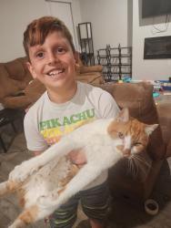 Reunited Male Cat last seen Canaan Road, Roebuck, SC 29376