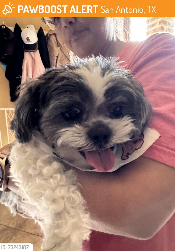 Found/Stray Female Dog last seen Legend point, San Antonio, TX 78258