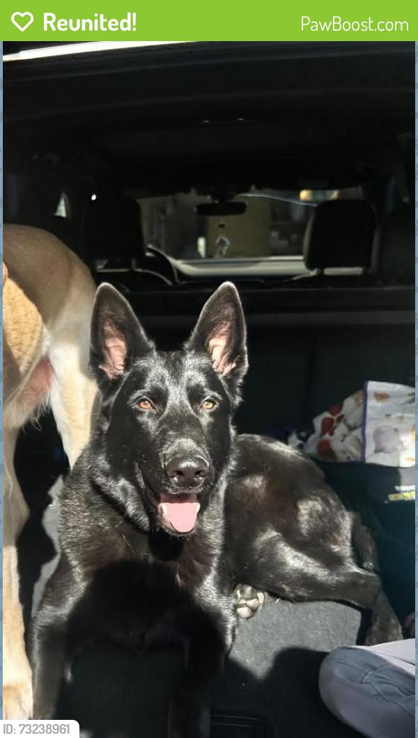 Reunited Female Dog last seen State Farm, Greeley, CO 80634