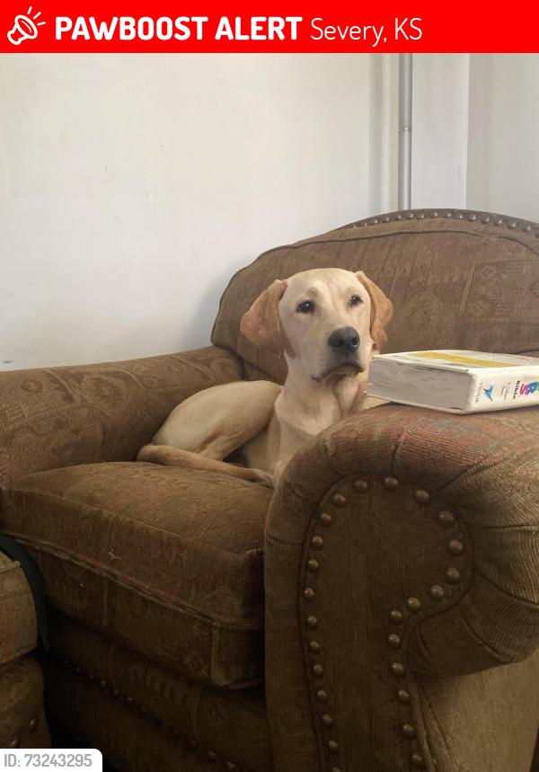Lost Male Dog last seen Near 10th st severy ks, Severy, KS 67137