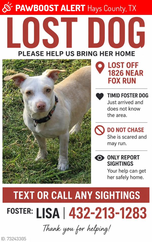 Lost Female Dog last seen Near and Fox Run Dr., Hays County, TX 78737