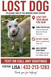 Lost Female Dog last seen Near and Fox Run Dr., Hays County, TX 78737