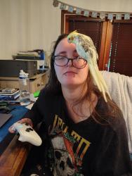 Lost Unknown Bird last seen E scott st, Fort Pierce, FL 34982