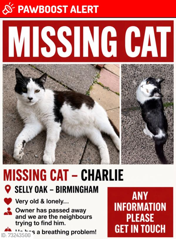 Lost Male Cat last seen Fladbury Crescent b29, West Midlands, England B29 6PH