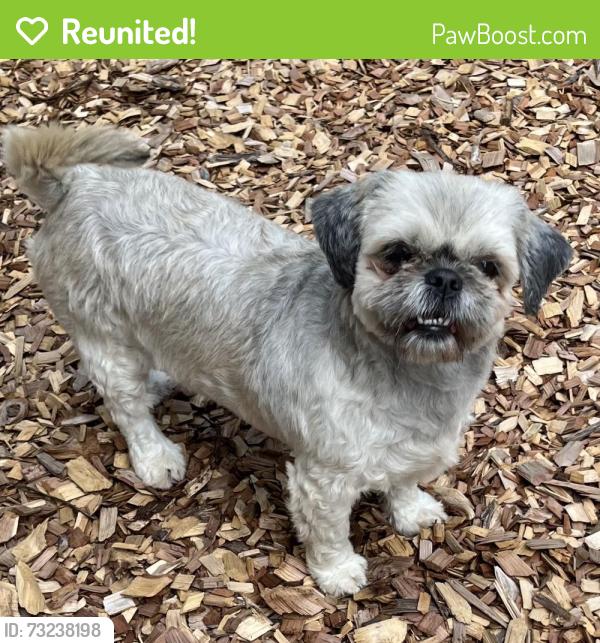 Reunited Female Dog last seen Palmer Rd, Lebanon, TN, USA, Lebanon, TN 37087
