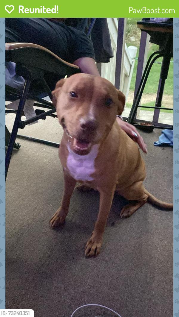 Reunited Female Dog last seen Beulah elementary school, Douglasville, GA 30134