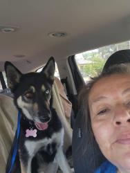 Reunited Female Dog last seen St. Joseph Church, Fontana, CA 92335