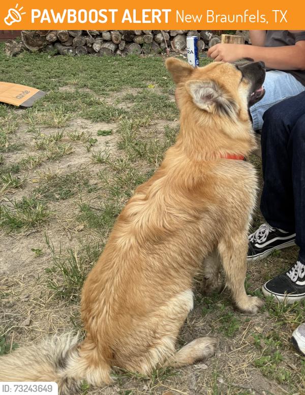 Found/Stray Unknown Dog last seen Waterway Pass, New Braunfels, TX 78130