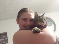Lost Male Cat last seen Near Sambucas, Galena, OH 43021
