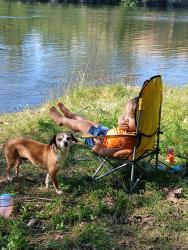 Lost Male Dog last seen Peach and church, Fresno, CA 93725