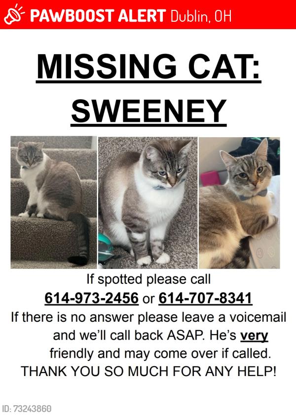 Lost Male Cat last seen Tuttle mall, Dublin, OH 43016
