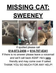 Lost Male Cat last seen Tuttle mall, Dublin, OH 43016