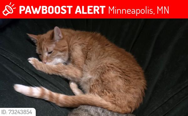 Lost Male Cat last seen Unknown, he was dropped off somewhere.. last i saw him was in our hse, Minneapolis, MN 55412