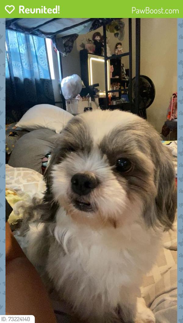 Reunited Male Dog last seen Near us 92 and Mlk, Plant City, FL 33566