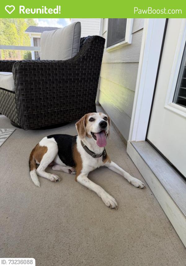 Reunited Female Dog last seen Sutherland Dr, Franklin County, NC 27525