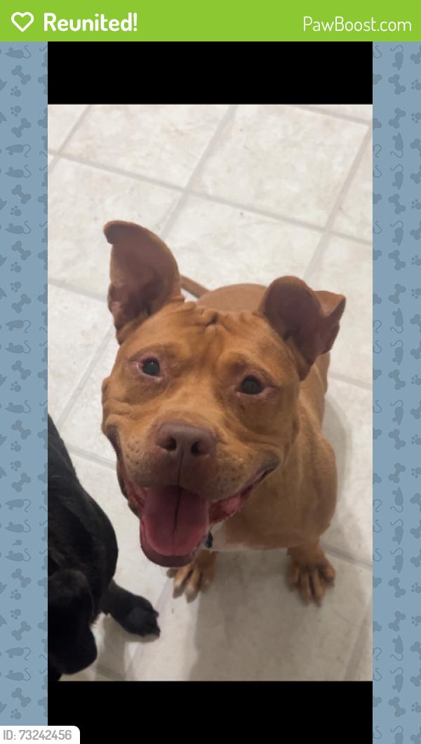 Reunited Male Dog last seen Underwood rd and torchwood rd, Carthage, NC 28327