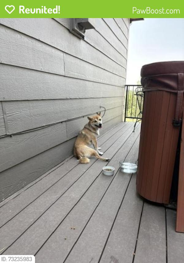 Reunited Male Dog last seen Washington 134theve area, Thornton, CO 80241