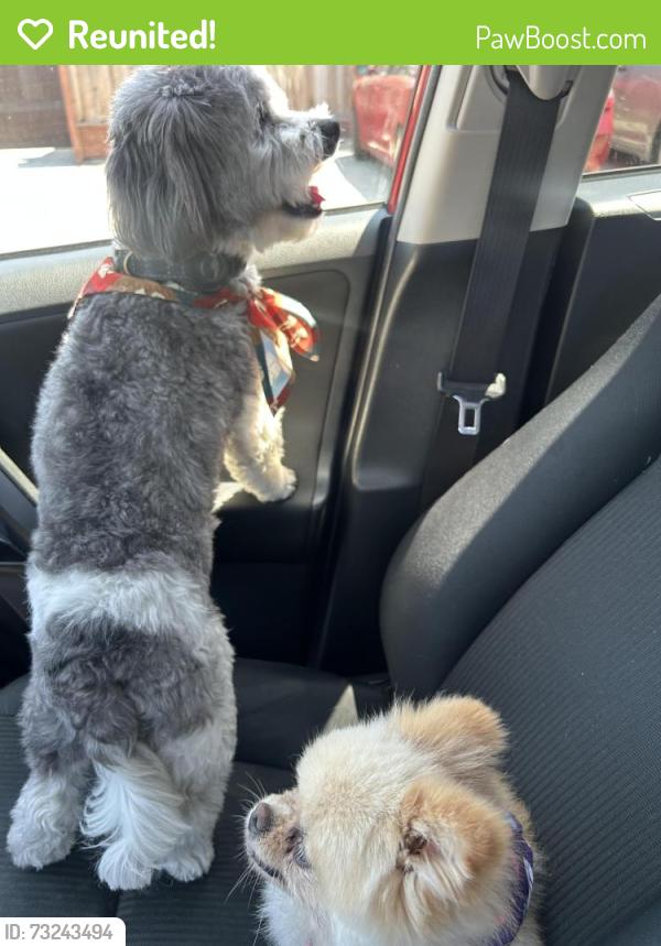 Reunited Male Dog last seen Newark, Newark, CA 94560