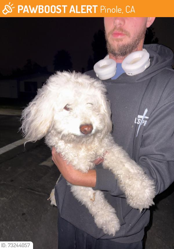 Found/Stray Male Dog last seen tennent ave pinole, Pinole, CA 94564