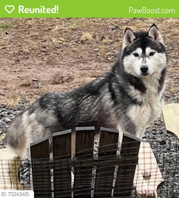 Reunited Female Dog last seen Plantation Rd, Washington 98632, USA, Cowlitz County, WA 98632