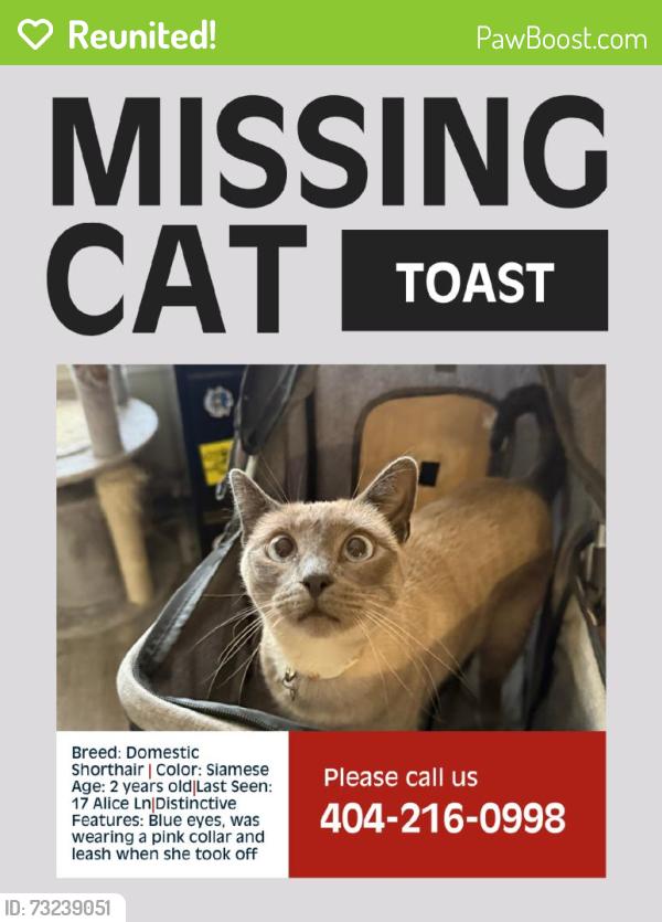 Reunited Female Cat last seen Near Alice Ln, Ringgold, GA 30736, USA, Ringgold, GA 30736