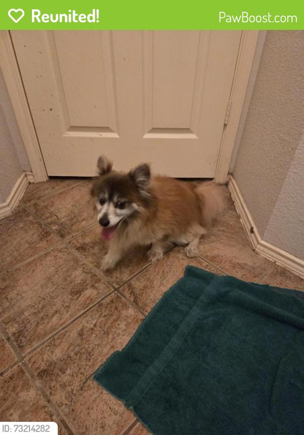 Reunited Male Dog last seen Mckinney Ridge and Ridge, McKinney, TX 75070