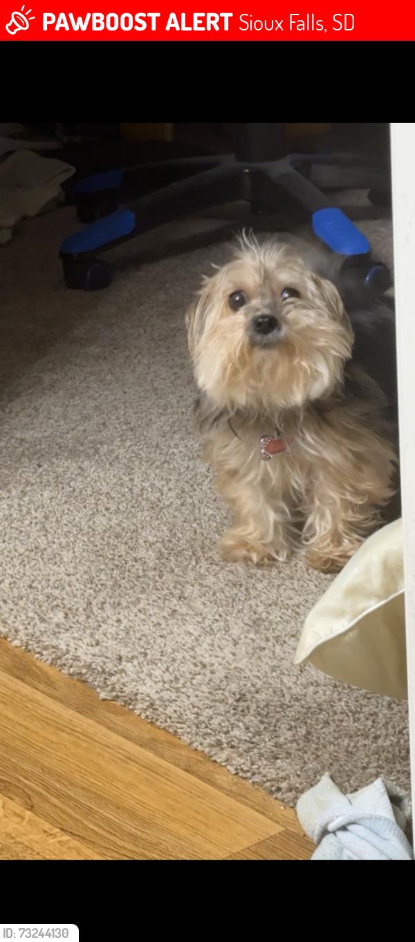 Lost Female Dog last seen Near n dogwood Pl, Sioux Falls, SD, Sioux Falls, SD 57107