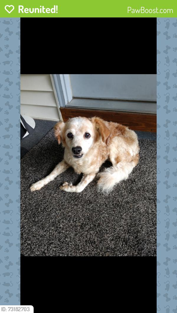 Reunited Unknown Dog last seen Bell Rd/ Rural Hill Rd, Nashville, TN 37217