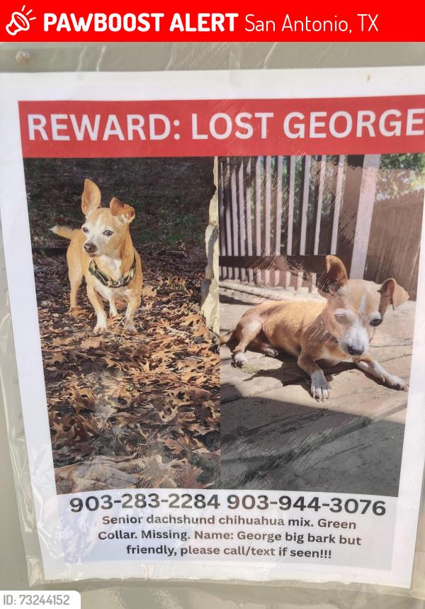 Lost Male Dog last seen Marbach and Bear springs dr, San Antonio, TX 78245